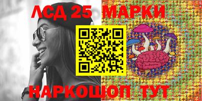 spice Обь