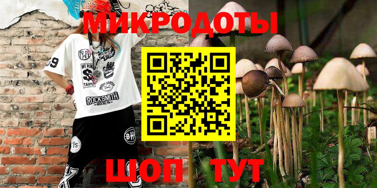 Галлюциногенные грибы Psilocybe Рубцовск